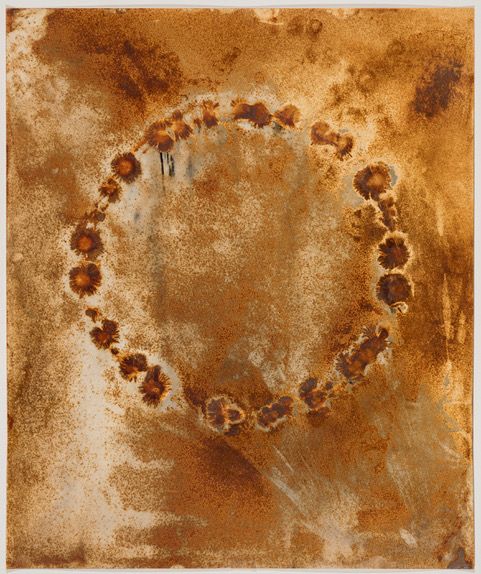 Meiosis, mitosis