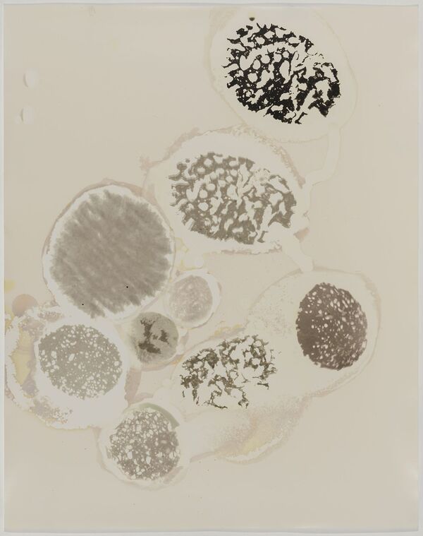 Breakaway, 2017, 20 x 16 ins.