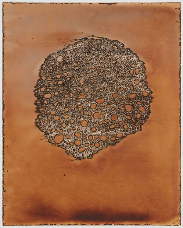 Corpuscle, 2024, 20 x 16 ins.