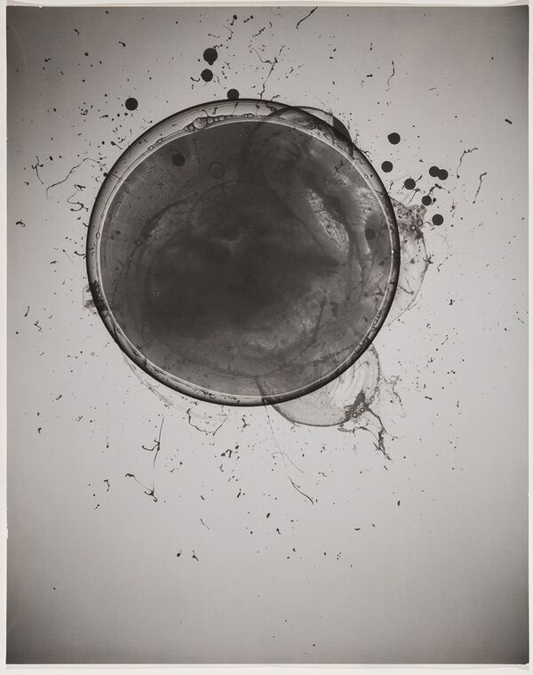 Rupture, 2019, 20 x 16 ins.