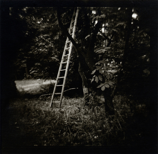 #16 Ladder, Pavel Banka's Garden outside of Prague