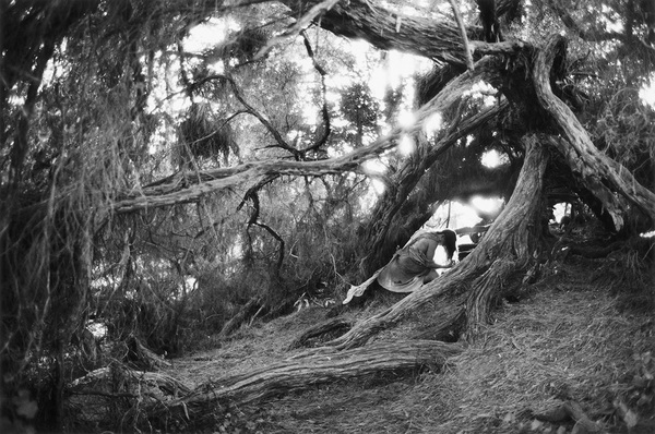 Untitled Self Portrait #21, California, 1989