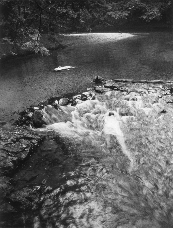 Untitled Self Portrait #29, Massachusetts, 1990