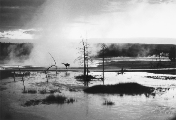 Untitled Self Portrait #2, Wyoming, 1987