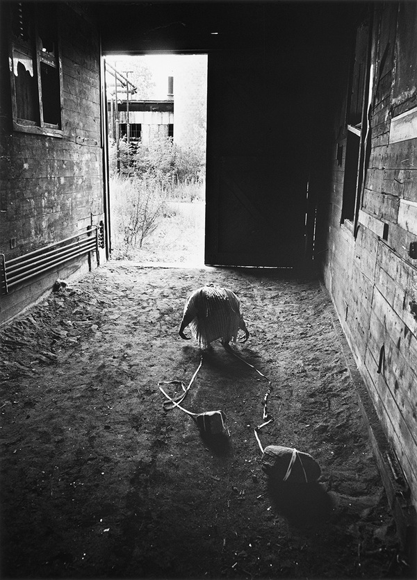 Untitled Self Portrait #35, New Hampshire, 1991