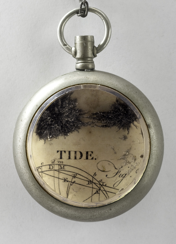 Tide, 2013